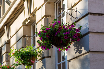 Fototapeta na wymiar a hanging basket filled with flowers on the side of a georgian building