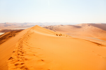 Obraz na płótnie Canvas Red sand dunes of Namibia