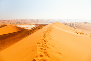 Fototapeta na wymiar Red sand dunes of Namibia