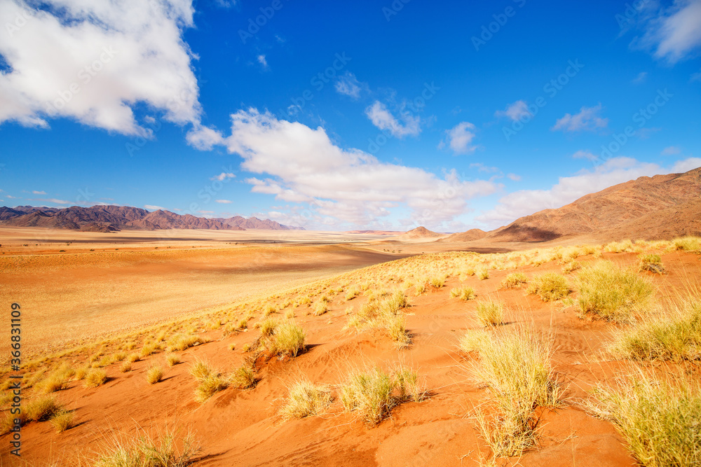 Wall mural Namib desert landscape