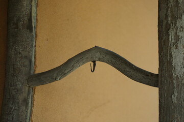 京　桂　20150511