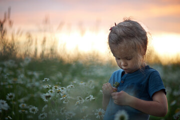 Portrait of a curly girl on the bright sunset background on the chamomile field