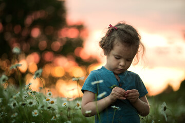 Portrait of a curly girl on the bright sunset background on the chamomile field
