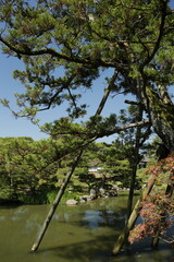 京　桂　20150511