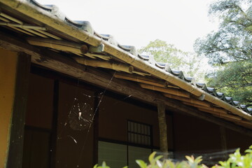 京　桂　20150511