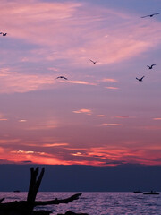 Pink sunset on Lake Michigan, Holland State Park beach
