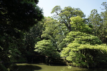 京　桂　20150511