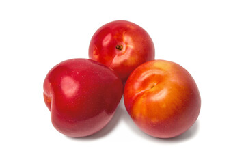 Fresh red plum isolated on white close-up