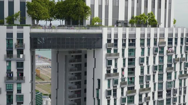 Amazing Rooftop Garden