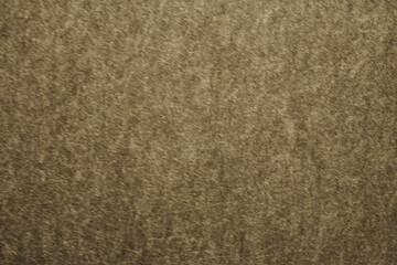 Fototapeta premium brown background