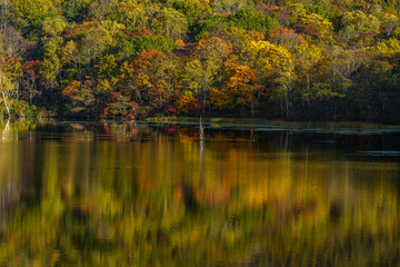 紅葉の戸隠鏡池