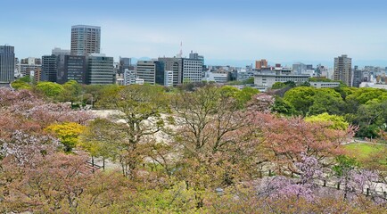Obraz premium View of Fukuoka skyline from the ruins of Maizuru castle. Fukuoka city, Japan. 04-07-2015