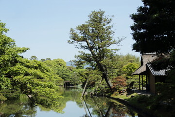 京　桂　20150511