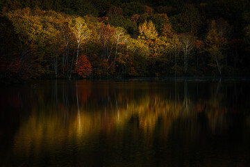 紅葉の戸隠鏡池
