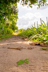 Estrada do interior da Bahia