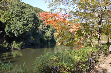 紅葉の京都

