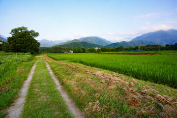 Fototapeta na wymiar 田舎の風景
