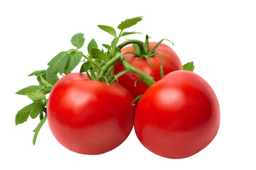 Ripe tomatoes with branches and leaves isolated on white background close-up