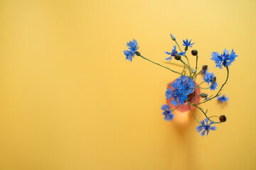 selective focus. Glass vase with beautiful wildflowers on a .yellow background. Cornflowers top view. Banner. copy space