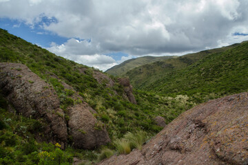 High in the mountains. View of the green valley, forest foliage, rocks and hills. 