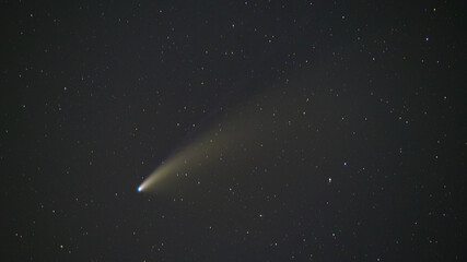 ネオワイズ彗星