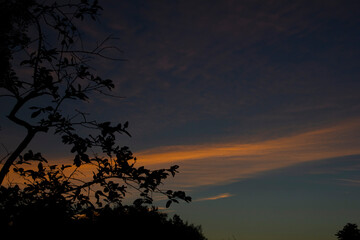 sunset in the forest