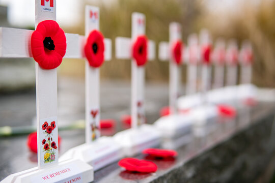 Poppies On Small White Crosses At Cenotaph