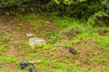 styrofoam container and other debris on the ground