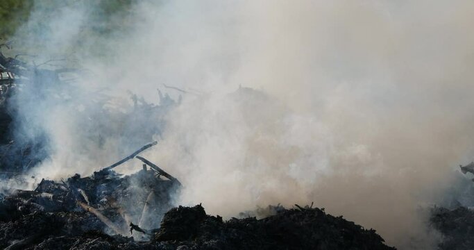 Agriculture. Fire in the countryside