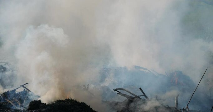 Agriculture. Fire in the countryside