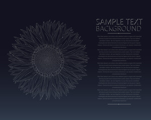 Sunflower vector card