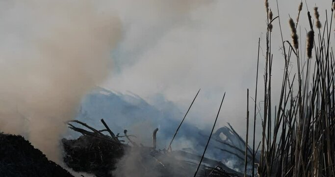 Agriculture. Fire in the countryside