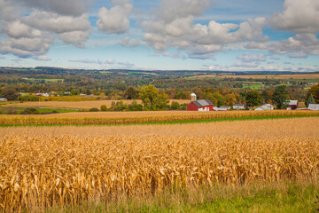 Fototapeta na wymiar A corn field, Red Barn and Silo in the Finger Lakes Region of Upper New York