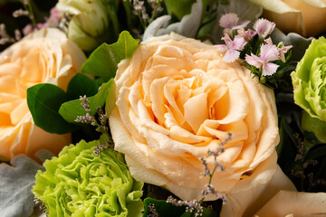 beautiful fresh flowers close up