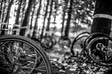 Fototapeta na wymiar bicycle wheel in pit of a bike race