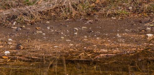 Washed up pollution at the shore