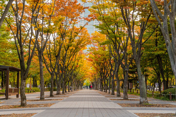 Naklejka premium Sidewalk through urban park