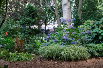 Garden space in the midtown park of new york city