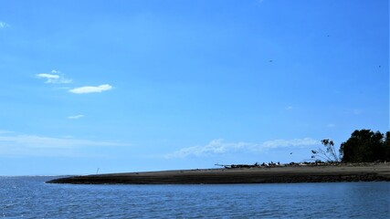 Obraz premium mouth of the ocean from the river 