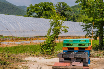 Plastic loading pallets