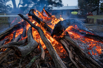 campfire/ bon fire in outback Australia
