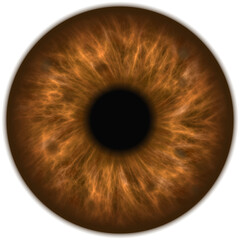 human amber brown eye iris closeup - obrazy, fototapety, plakaty