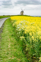 The windmill in Pontorson, France.