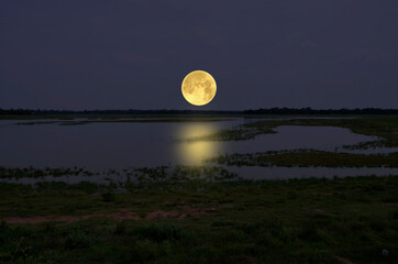 Big full moon over the lake in the field