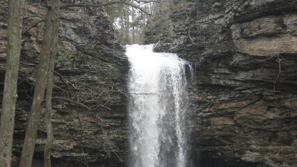 waterfall in the forest