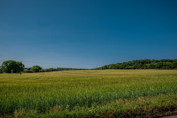 Peaceful landscape photo of a village nearby Rochester