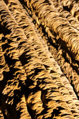 angled close up view of stalactite formation in Luray Cavern in Shenandoah valley in Virginia with moody lighting 