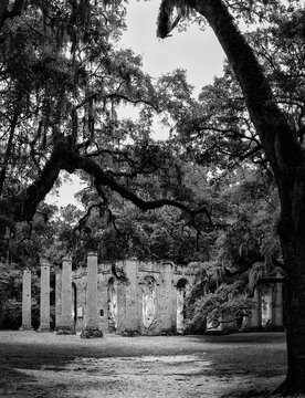 Dirt path leading to historical Sheldon Church brick structure ruins with columns and overhanging trees and shade in black and white