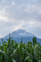 Fototapeta premium popocatepetl VOLCAN MEXICO 