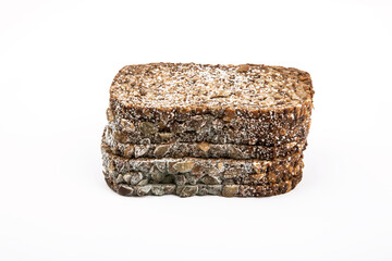 Moldy Bread